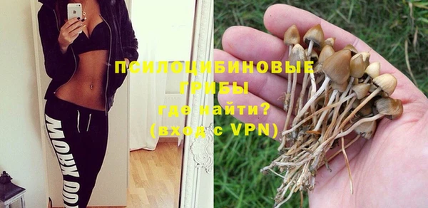 первитин Медвежьегорск