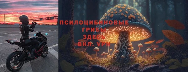 первитин Медвежьегорск