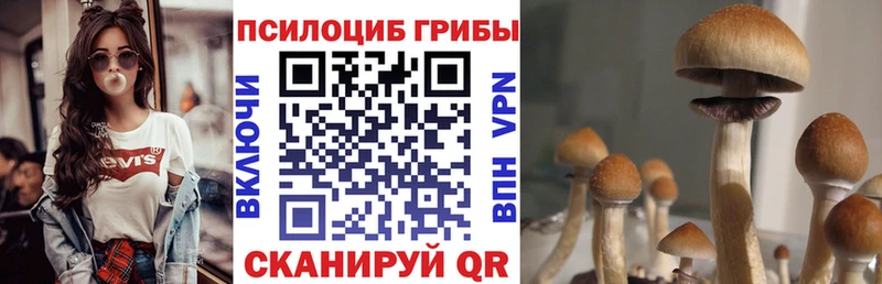 Галлюциногенные грибы Cubensis  где найти наркотики  hydra   Дмитровск 