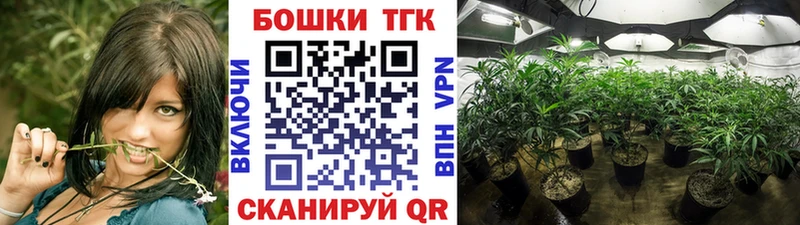 Каннабис конопля  mega маркетплейс  Дмитровск 